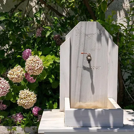 Paradeisos Pelion *