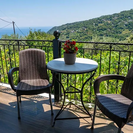 Paradeisos Pelion *